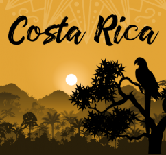 Menlo Abroad Costa Rica 2024