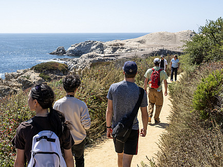 Catalyst students hike at Point Lobos.