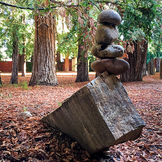 Redwood Grove Balancing Rocks 30739836606 af75115245 k The Redwood Grove on the Upper School campus.
