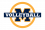 Athletic-Logos Volleyball