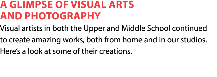 A Glimpse of Visual Arts and Photography Visual artists in both the Upper and Middle School continued to create amazi   