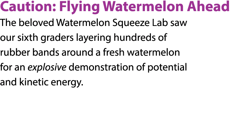 Caution: Flying Watermelon Ahead The beloved Watermelon Squeeze Lab saw our sixth graders layering hundreds of rubber   