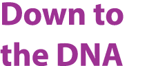 Down to the DNA